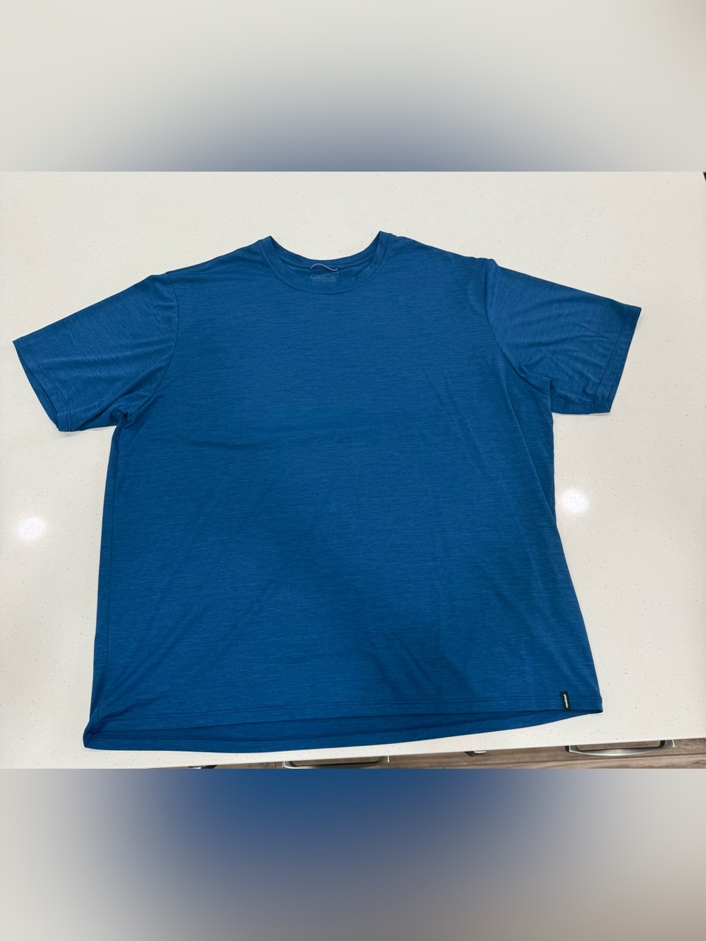 Patagonia Men's Teal Blue Short Sleeve Crewneck Tee